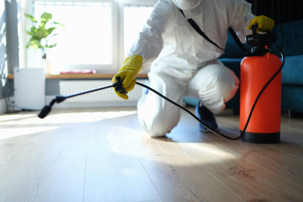 Reliable Infectious Disease Decontamination contractor in Courtland, VA by Trauma Clean Pros